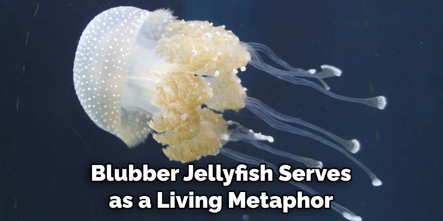 Blubber Jellyfish Serves as a Living Metaphor