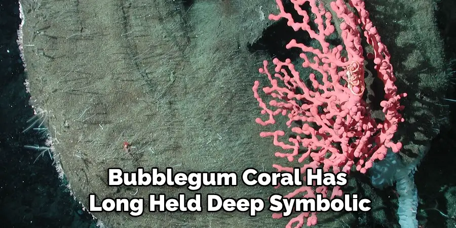 Bubblegum Coral Has Long Held Deep Symbolic