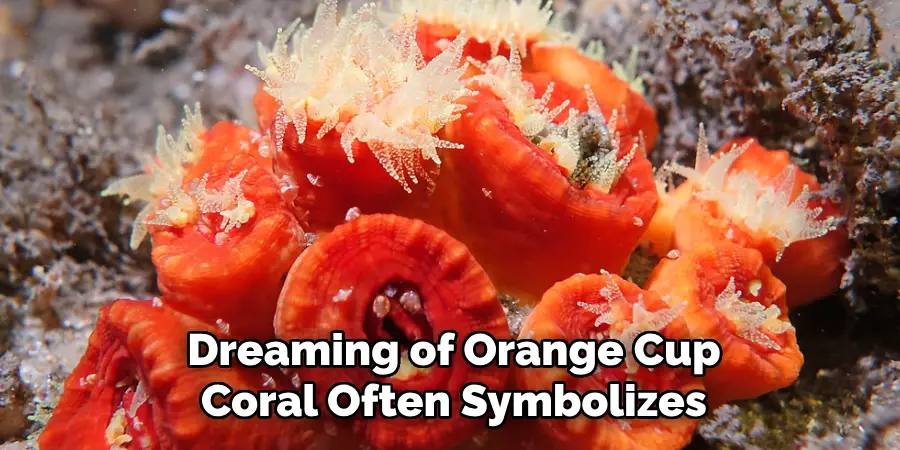 Dreaming of Orange Cup Coral Often Symbolizes