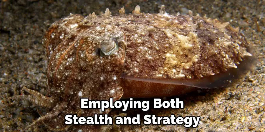 Employing Both Stealth and Strategy