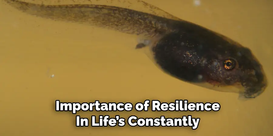 Importance of Resilience In Life’s Constantly