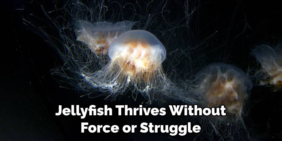 Jellyfish Thrives Without Force or Struggle