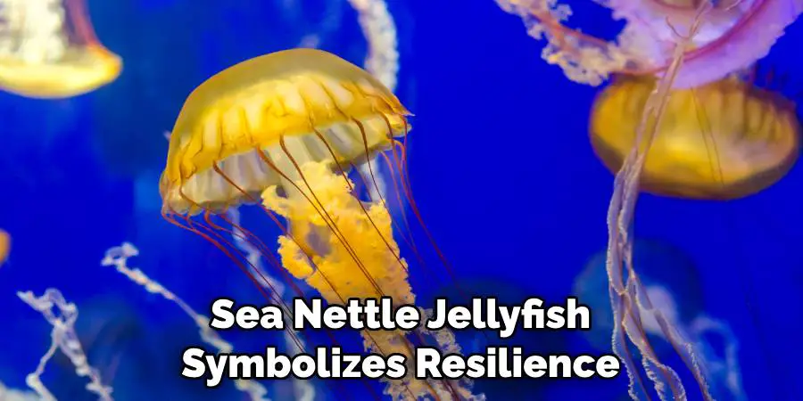 Sea Nettle Jellyfish Symbolizes Resilience