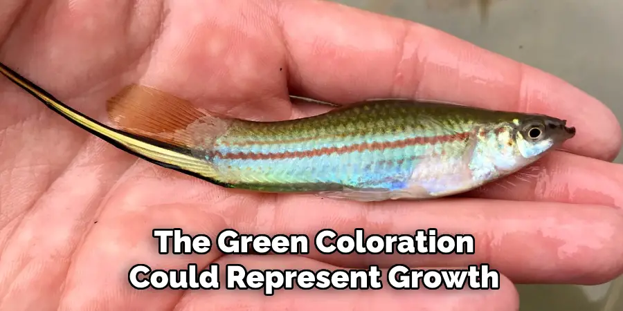 The Green Coloration Could Represent Growth