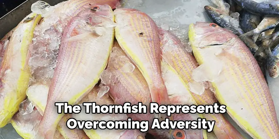 The Thornfish Represents Overcoming Adversity