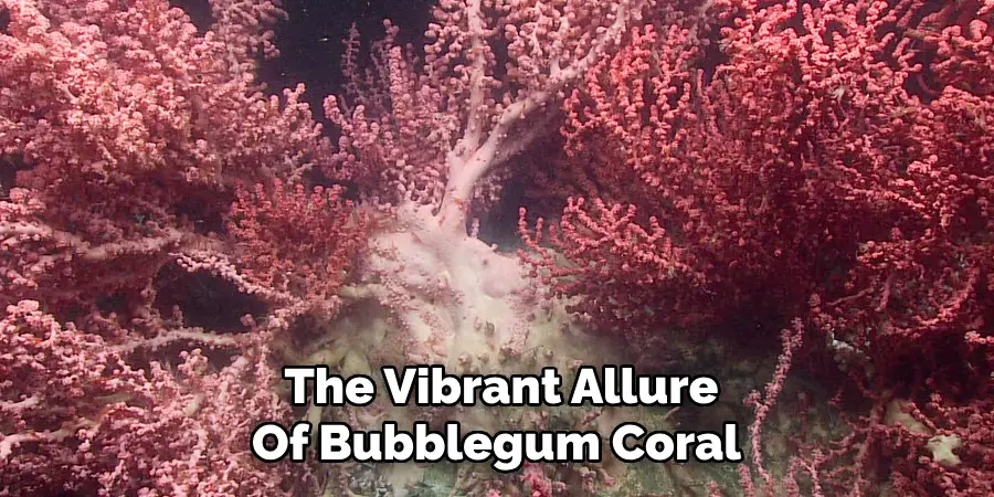 The Vibrant Allure Of Bubblegum Coral