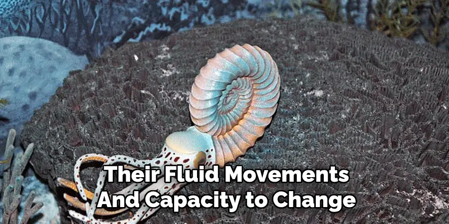 Their Fluid Movements And Capacity to Change