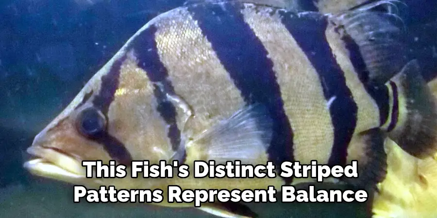 This Fish's Distinct Striped Patterns Represent Balance