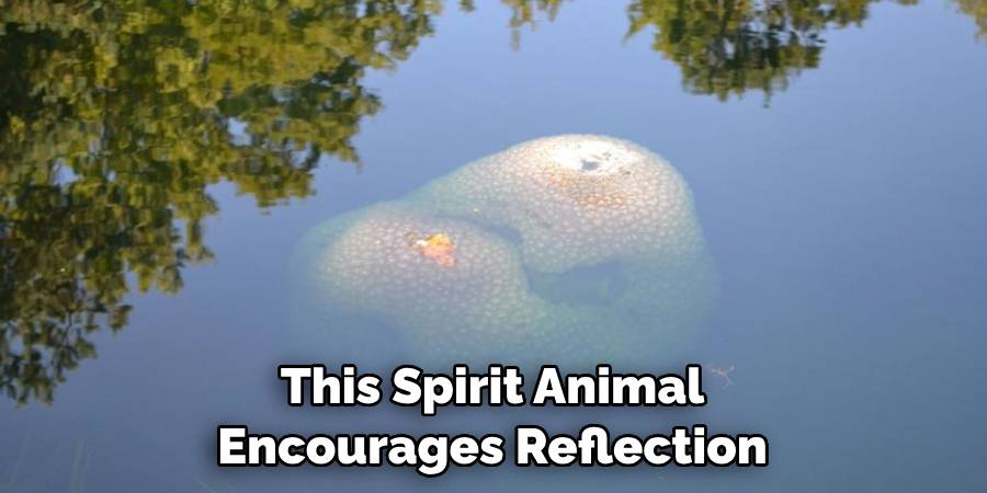 This Spirit Animal Encourages Reflection