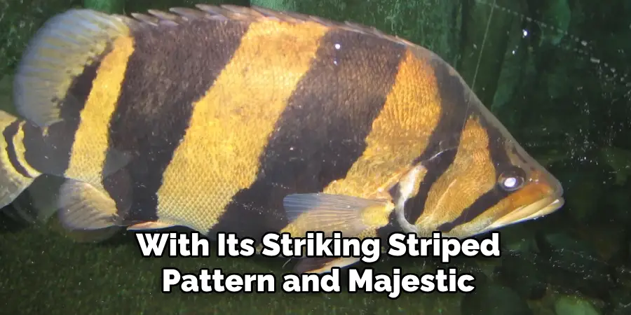 With Its Striking Striped Pattern and Majestic