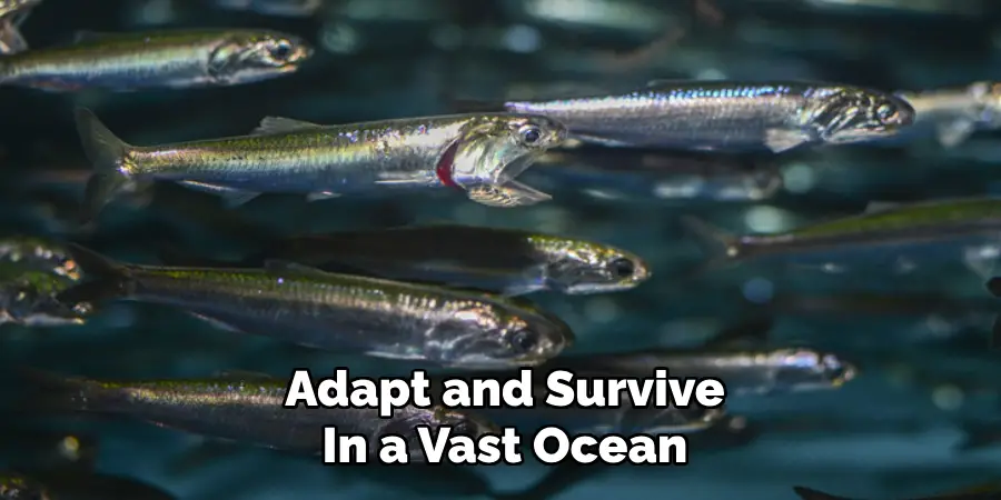 Adapt and Survive
In a Vast Ocean