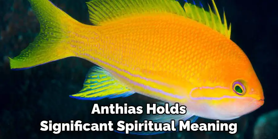 Anthias Holds Significant Spiritual Meaning