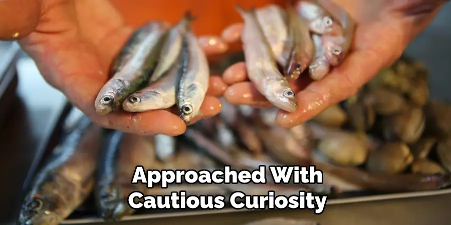 Approached With
Cautious Curiosity