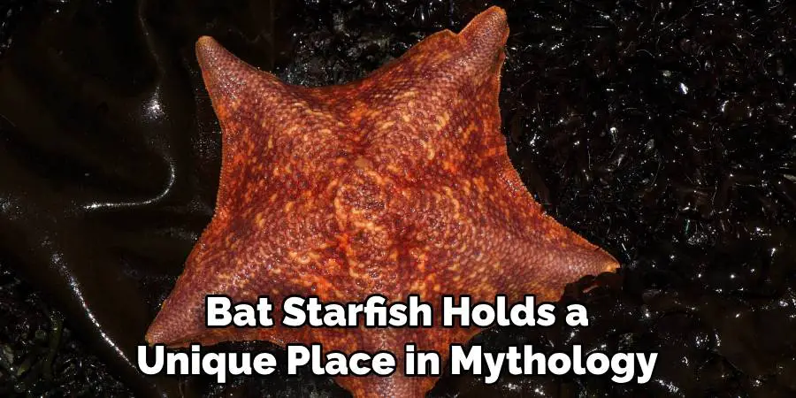 Bat Starfish Holds a Unique Place in Mythology