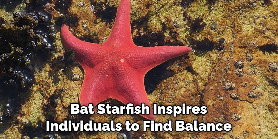 Bat Starfish Inspires Individuals to Find Balance