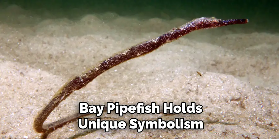 Bay Pipefish Holds
Unique Symbolism