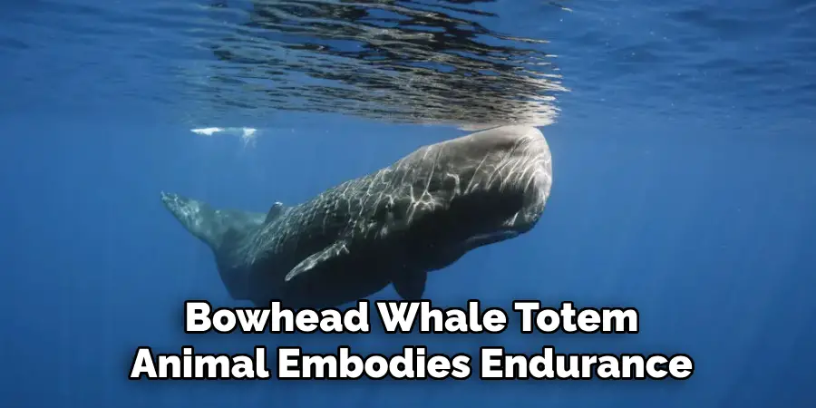 Bowhead Whale Totem
Animal Embodies Endurance