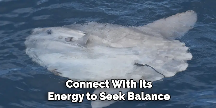 Connect With Its
Energy to Seek Balance