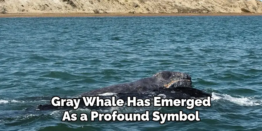 Gray Whale Has Emerged
As a Profound Symbol