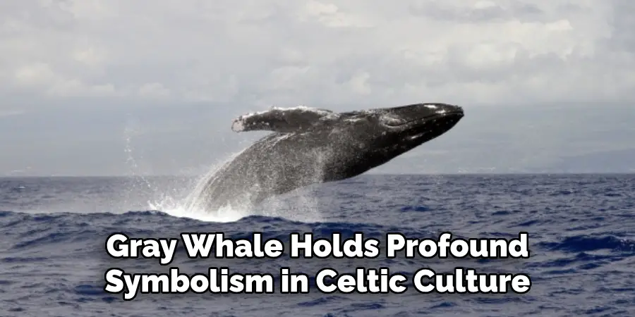 Gray Whale Holds Profound
Symbolism in Celtic Culture