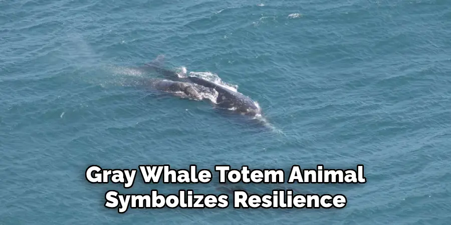 Gray Whale Totem Animal
Symbolizes Resilience