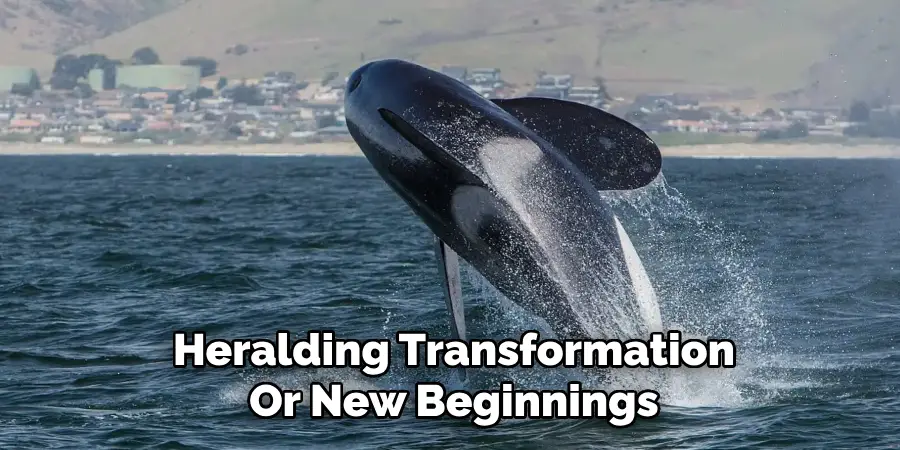 Heralding Transformation
Or New Beginnings