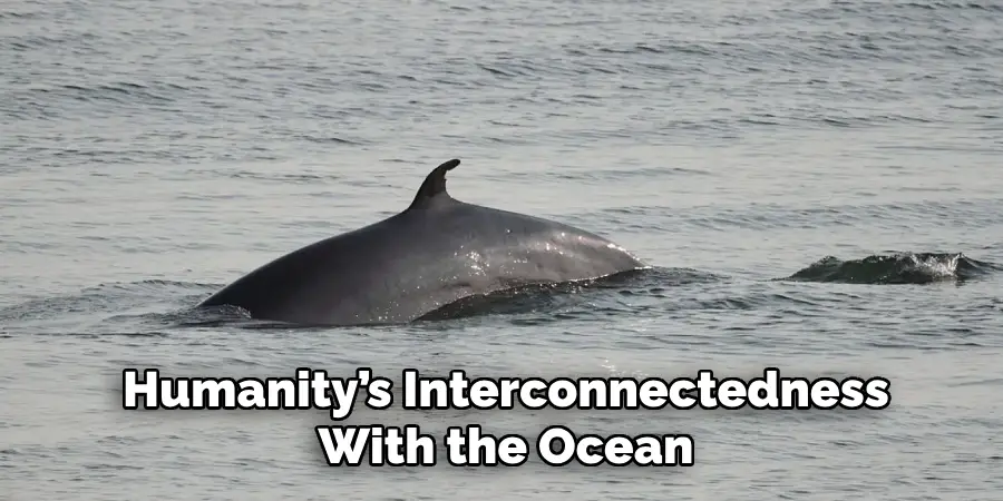 Humanity’s Interconnectedness
With the Ocean