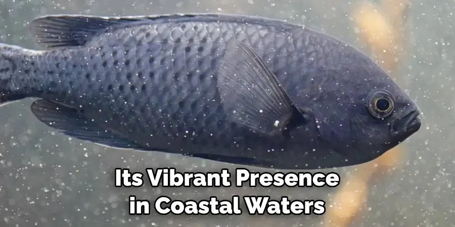 Its Vibrant Presence in Coastal Waters