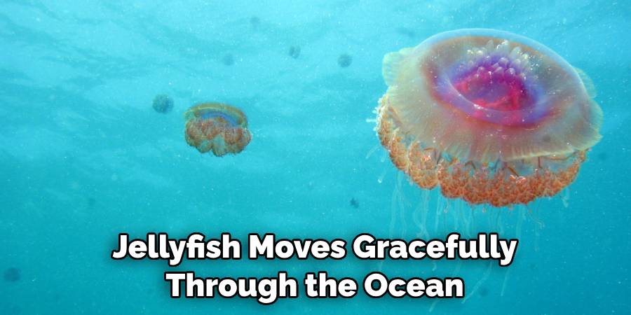 Jellyfish Moves Gracefully Through the Ocean