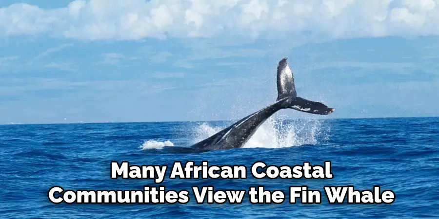 Many African Coastal
Communities View the Fin Whale