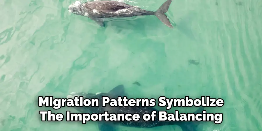 Migration Patterns Symbolize
The Importance of Balancing