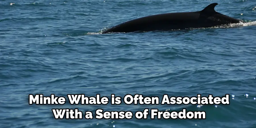 Minke Whale is Often Associated
With a Sense of Freedom