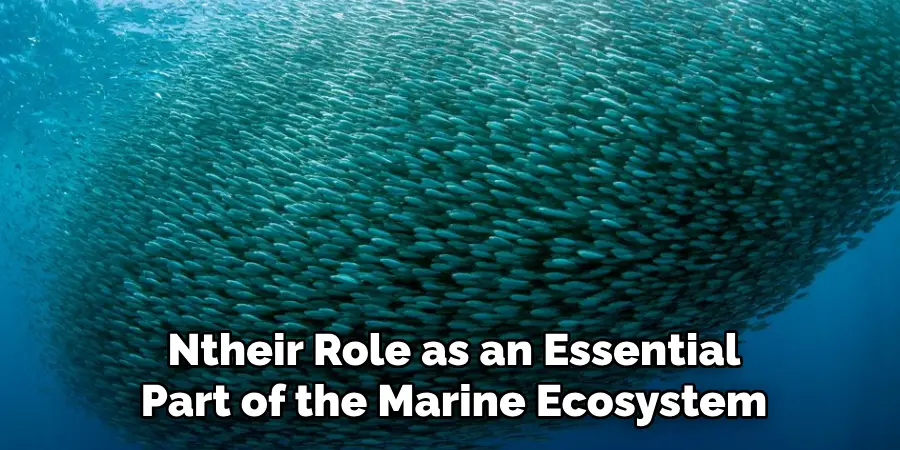 Ntheir Role as an Essential
Part of the Marine Ecosystem