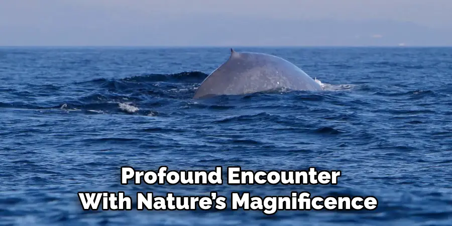  Profound Encounter
With Nature’s Magnificence