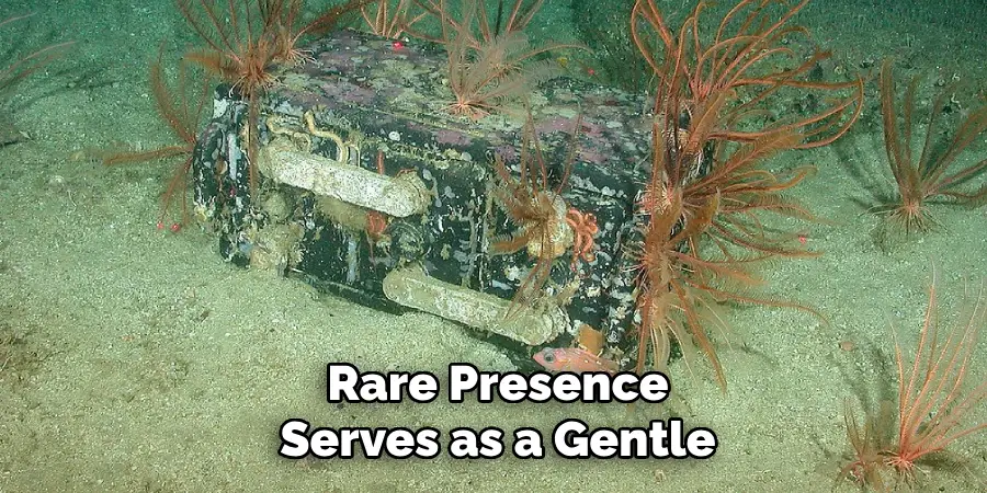 Rare Presence
Serves as a Gentle