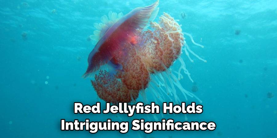 Red Jellyfish Holds Intriguing Significance