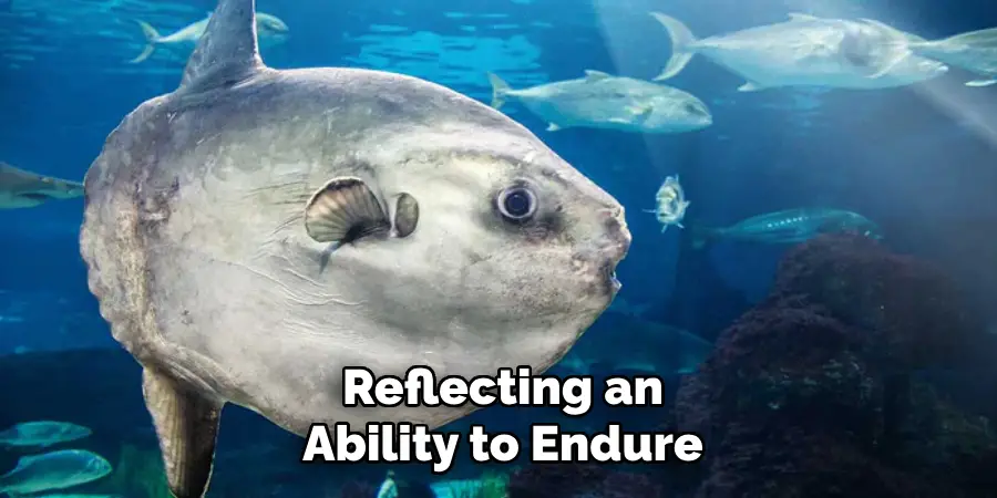 Reflecting an
Ability to Endure 