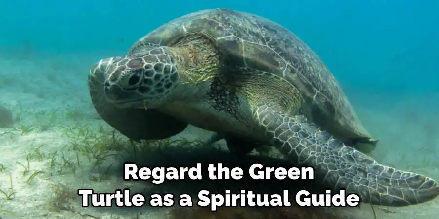 Regard the Green Turtle as a Spiritual Guide