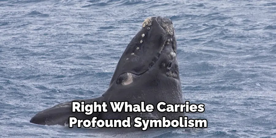 Right Whale Carries
Profound Symbolism