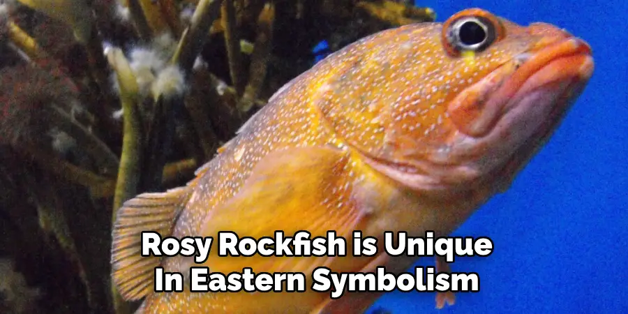 Rosy Rockfish is Unique
In Eastern Symbolism