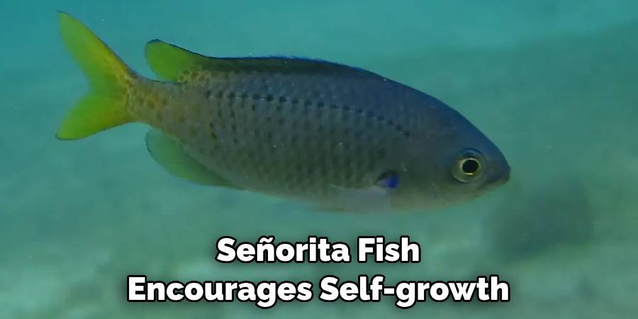 Señorita Fish Encourages Self-growth