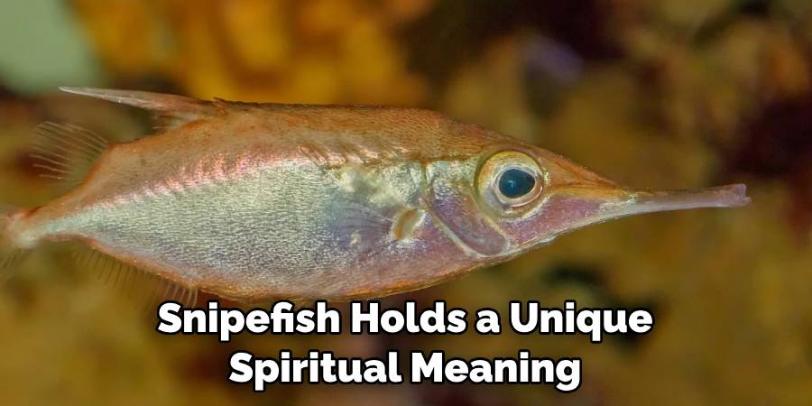 Snipefish Holds a Unique Spiritual Meaning