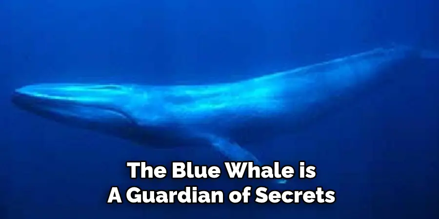 The Blue Whale is
A Guardian of Secrets