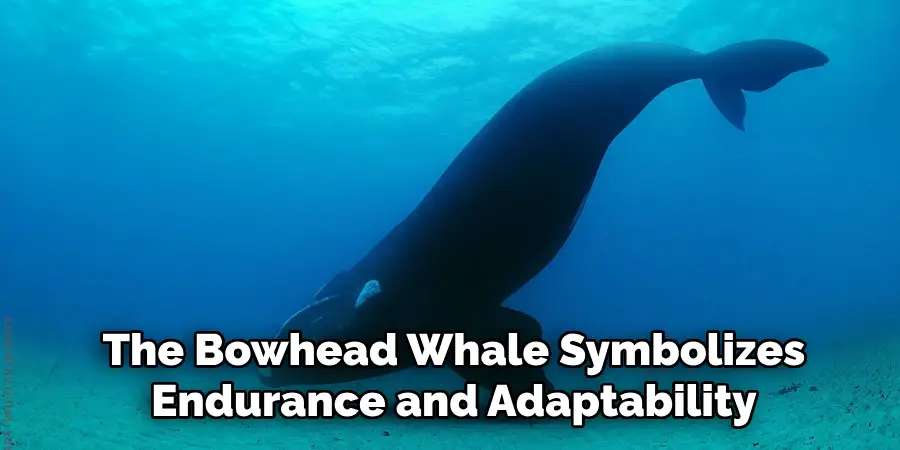 The Bowhead Whale Symbolizes
Endurance and Adaptability