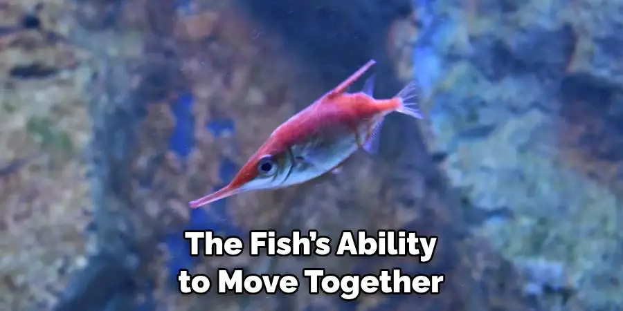 The Fish’s Ability to Move Together