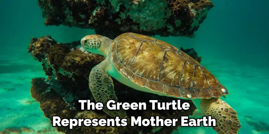 The Green Turtle Represents Mother Earth