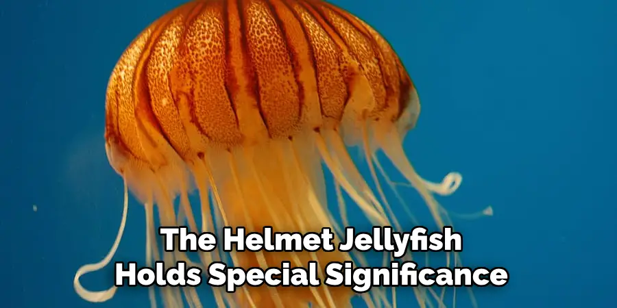 The Helmet Jellyfish 
Holds Special Significance