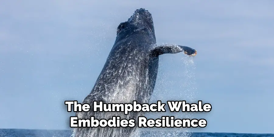 The Humpback Whale
Embodies Resilience