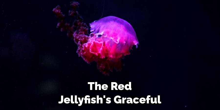 The Red Jellyfish's Graceful