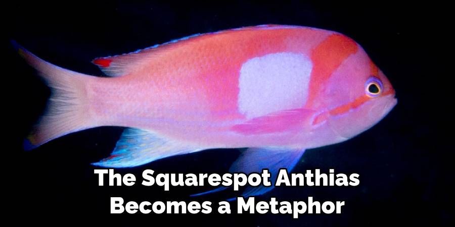 The Squarespot Anthias Becomes a Metaphor